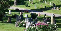 Webb Shinkle Mortuary
